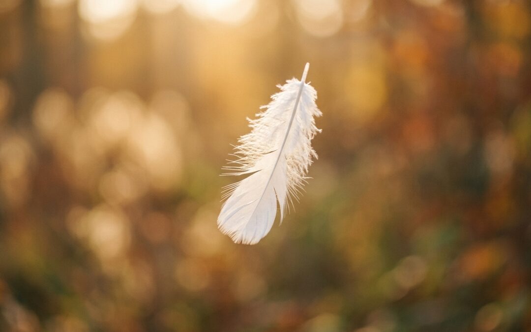 A single white feather floating in soft golden light symbolizing the release of guilt