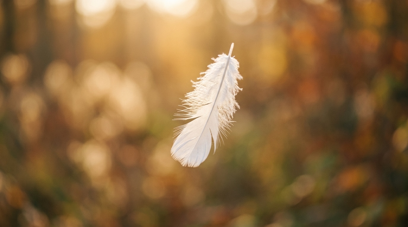 A single white feather floating in soft golden light symbolizing the release of guilt
